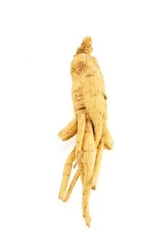 Dried ginseng root on a white background Foto stock