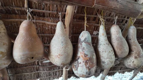 Dried gourds hanging in a row under a thatched roof in Hawaii Stock-Footage 347826348