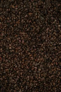 Dried grape seeds surface as a background Foto stock