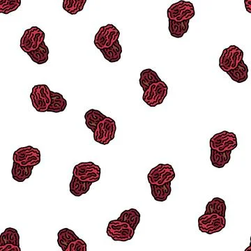 Dried grape vector seamless pattern Stock Illustration