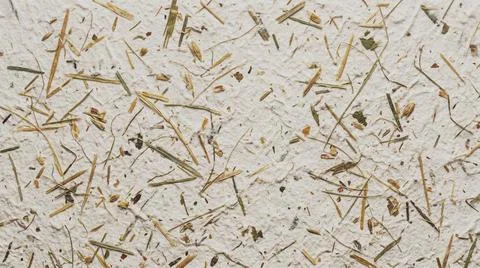 Dried Grass Blades on Light Surface. Foto stock