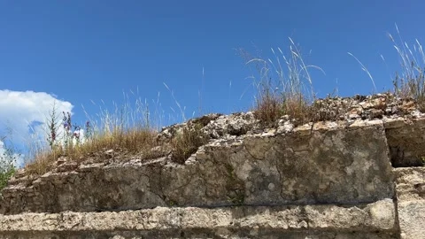 Dried grass blows gently on a rocky ledge with a blue sky and copy space Stock Footage 244347896