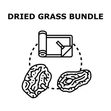 Dried grass bundle flat vector concept Stock Illustration