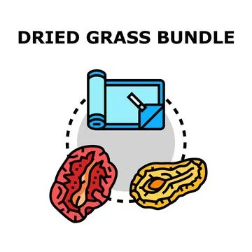 Dried grass bundle flat vector concept Stock Illustration