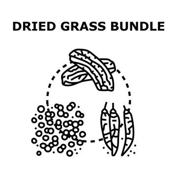 Dried grass bundle ingredient producing seasoning flavor icon Stock Illustration