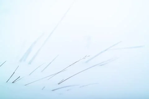 Dried grass on snow background Stock-Fotos