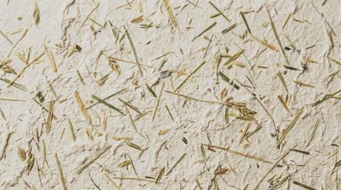 Dried Grass Stems Scattered Lightly. Stock Photos