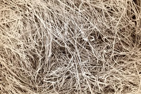 Dried grass texture Stock Illustration