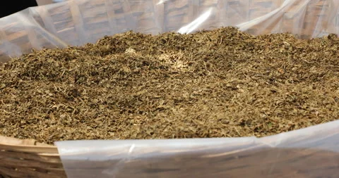 Dried Grayish Marijuana Leaves Stock Footage 303880863