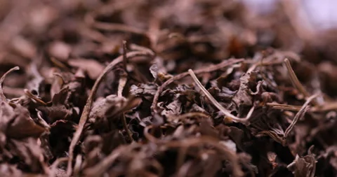 Dried Grayish Marijuana Leaves Stock Footage 305620181