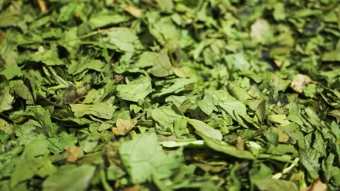 Dried green dill close-up macro. Spice for food. Man hand strewing dill on food Stock Footage 259078309