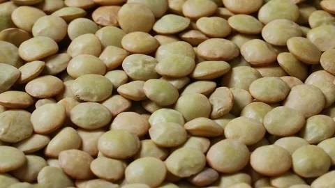 Dried green lentils close up full frame Stock Footage 172143084