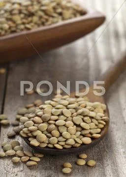Dried Green Lentils On A Wooden Spoon And In A Bowl