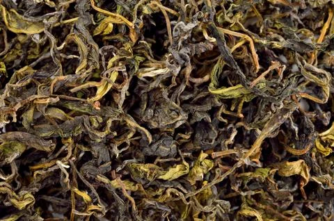 Dried green tea leaf for background texture Stock Photos