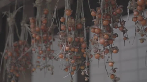 Dried Ground Cherries Hanging Under the Eaves, Log Footage Stock Footage 339380717
