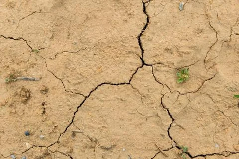 Dried ground covered with cracks Stock Photos