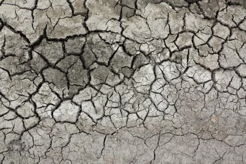 Dried ground Stock Photos