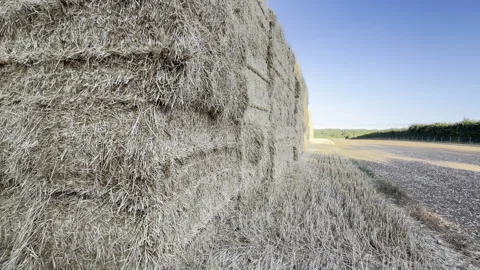 Dried hay bale textured surface close up Stock Footage 341828855