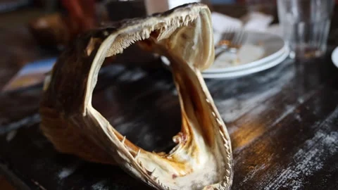 Dried head of a huge river pike 库存影片 318247699