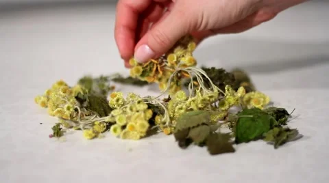 Dried healing plants mixed by hand Stock Footage 45925060