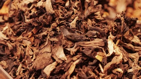Dried Herbs and Spices for Various Culinary Uses in Cooking and Flavor Stock Footage 280586707
