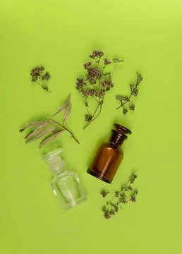 Dried herbs and two empty vials on green background. Herbal medicine, essential Stock Photos