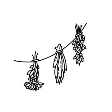 Dried herbs ornament. Flat style isolated image Stock Illustration