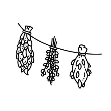 Dried herbs ornament flat vector style illustration Stock Illustration