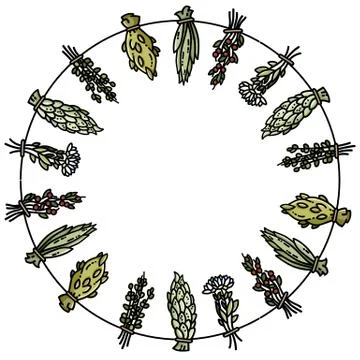 Dried herbs on a thread circle ornamental wreath. Flat vector style image Stock Illustration