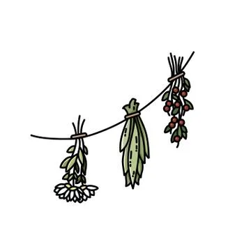 Dried herbs on a thread flat vector style image Illustrazione stock