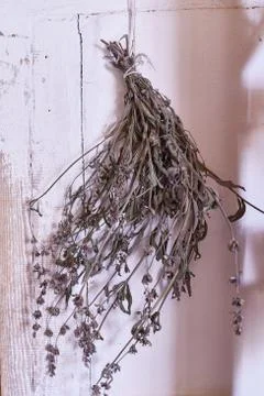 Dried herbs on a wall background Stock Photos