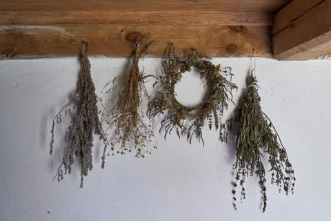 Dried herbs on a wall background Stock Photos