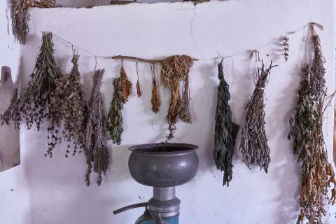 Dried herbs on a wall background Stock Photos