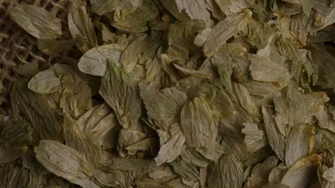 Dried hops flakes on burlap texture panning view detail Stock Footage 327829670