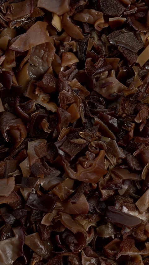 Dried, hydrated and chopped mun mushrooms as a food pattern. Vertical video. Video stock 296404804