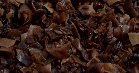 Dried, hydrated and chopped mun mushrooms as a food pattern. Stock Footage 296404896