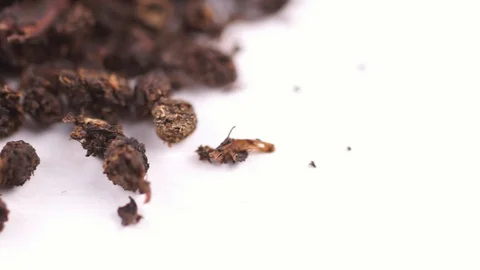 Dried Ivan-Tea Leaves Stock Footage 120682724
