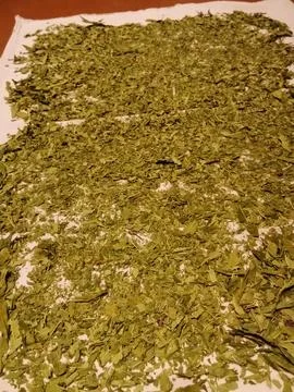 Dried Ivan tea Stock Photos