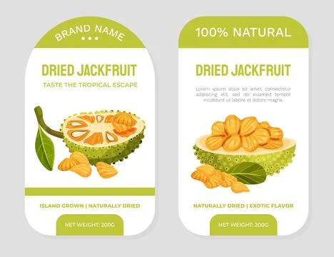 Dried Jackfruit Natural Label Design with Green Tropical Fruit Vector Template Stock Illustration