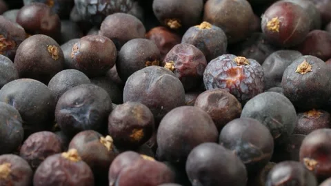 Dried juniper berries close up full frame as background Stock Footage 172143338