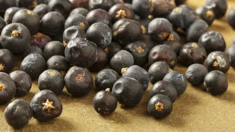 Dried juniper berries Stock Footage 76324426