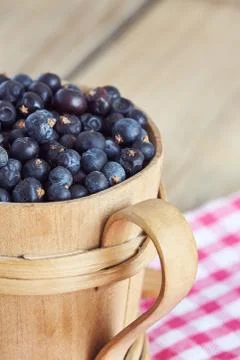 Dried juniper berries Stock Photos