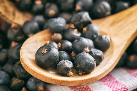 Dried juniper berries Stock Photos