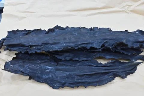 Dried kelp Stock Photos