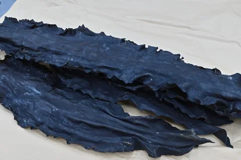 Dried kelp Stock Photos