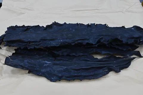 Dried kelp Stock Photos