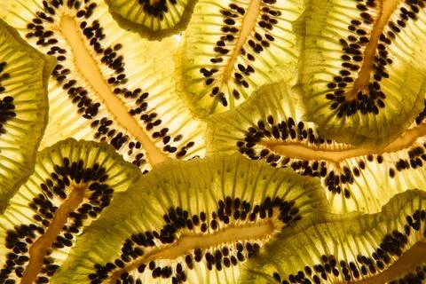 Dried kiwi. Pattern. Thin. Light through kiwi. Dehydration. Stock Photos