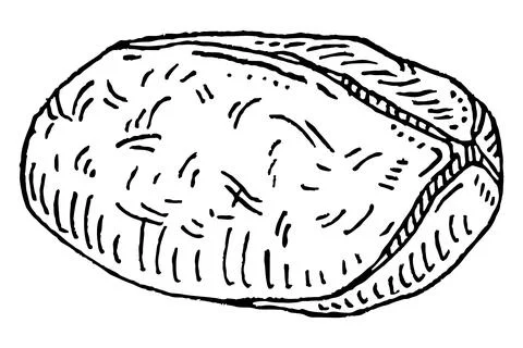 Dried kola nuts without shell. Vector engraving black vintage Illustrazione stock