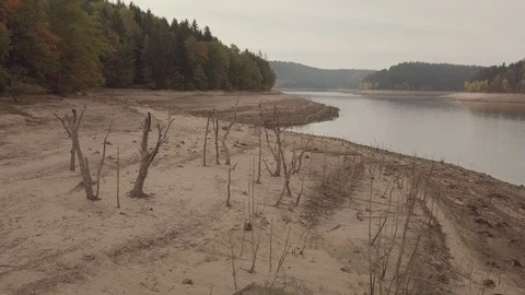 Dried lake and dead trees 4k ungraded Stock Footage 105849648