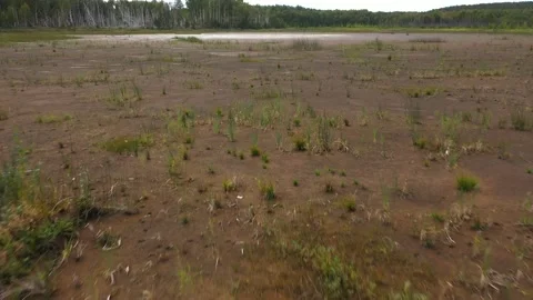 Dried-up lake, close-up from drone bottom surface Stock Footage 211579555